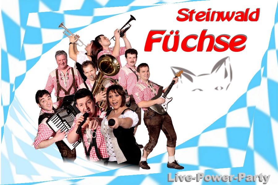Logo Steinwald Füchse